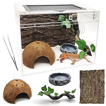 すぐに飼育できる❗️爬虫類飼育セット すぐに飼育できる❗️爬虫類飼育セット